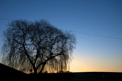 Se faire une ligne_5546836827_l.jpg